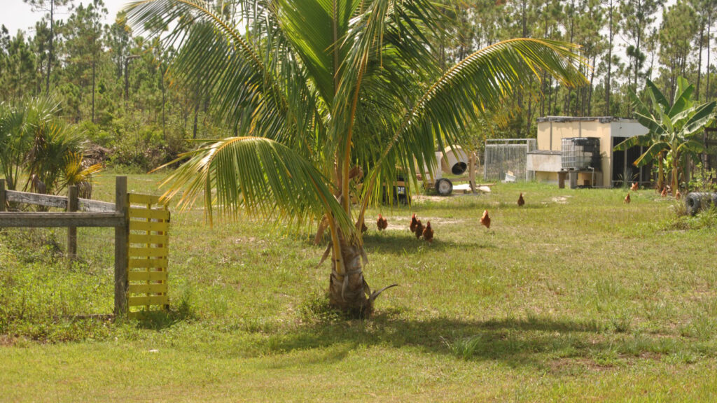 B & R Farms