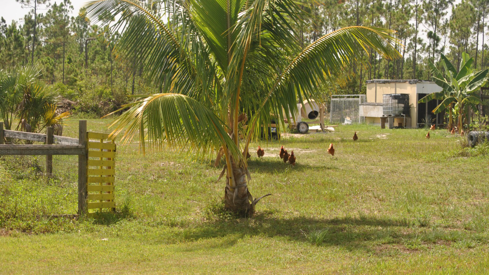 B & R Farms — photo 1